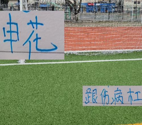 申花跟傷病杠上！從8月開始每場都有人受傷