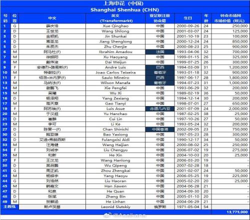 上海申花亞冠名單：共35名球員入選，7外援齊整