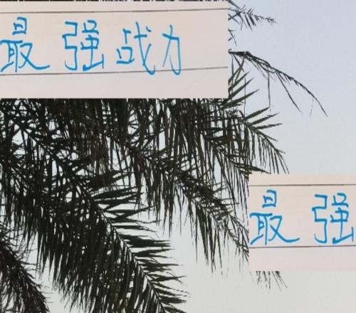 最強戰(zhàn)力都在包廂情況下！申花進攻和防守都排第二前俄教練厲害